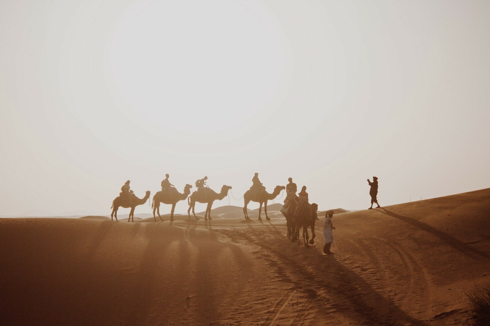 Travel to Madinah on Camel
